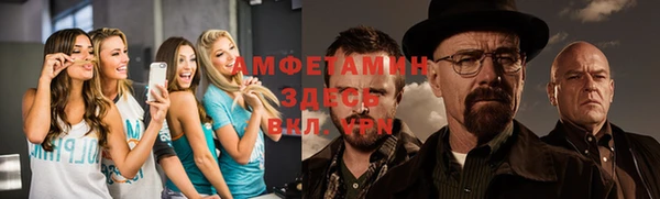 шишки Приозерск