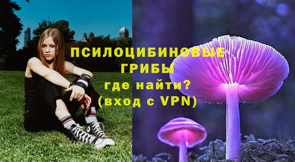 твердый Абаза