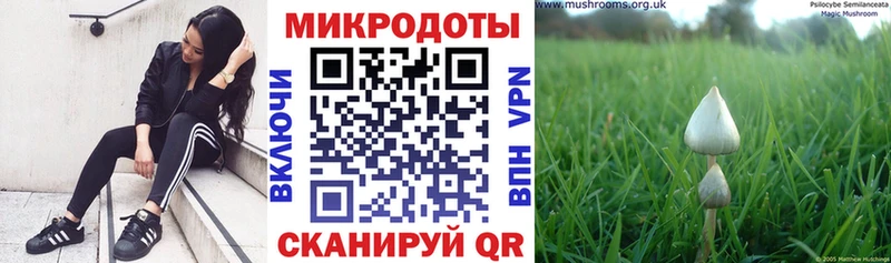 маркетплейс официальный сайт  Лесозаводск  Псилоцибиновые грибы Psilocybe  как найти  
